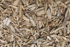 biomass boilers Balnamoon